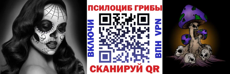 закладки мега сайт Галлюциногенные грибы Psilocybe Евпатория