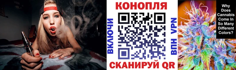 Бошки Шишки MAZAR  где продают   Евпатория 